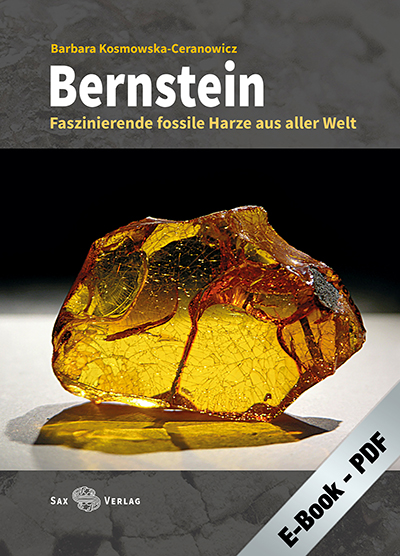 Bernstein (PDF)