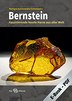 Bernstein (PDF)